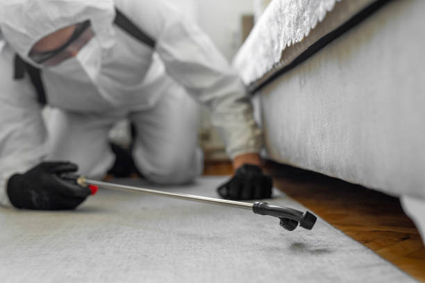 Professional Cockroach Control technician working in Greensburg, IN